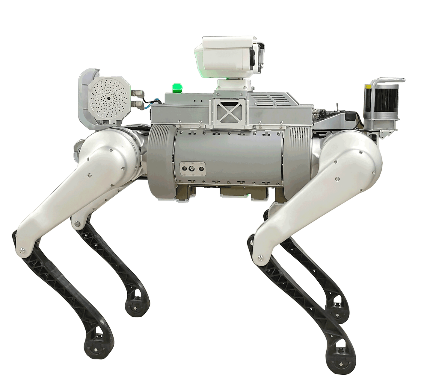 Fixed Acoustic Imaging camera